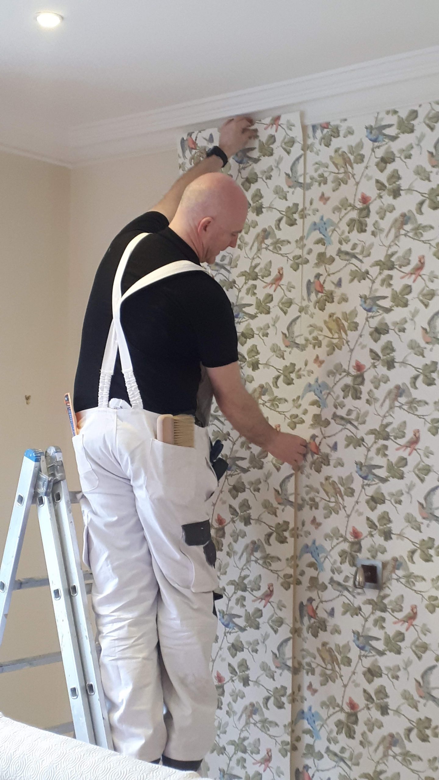 Wallpapering installation in progress